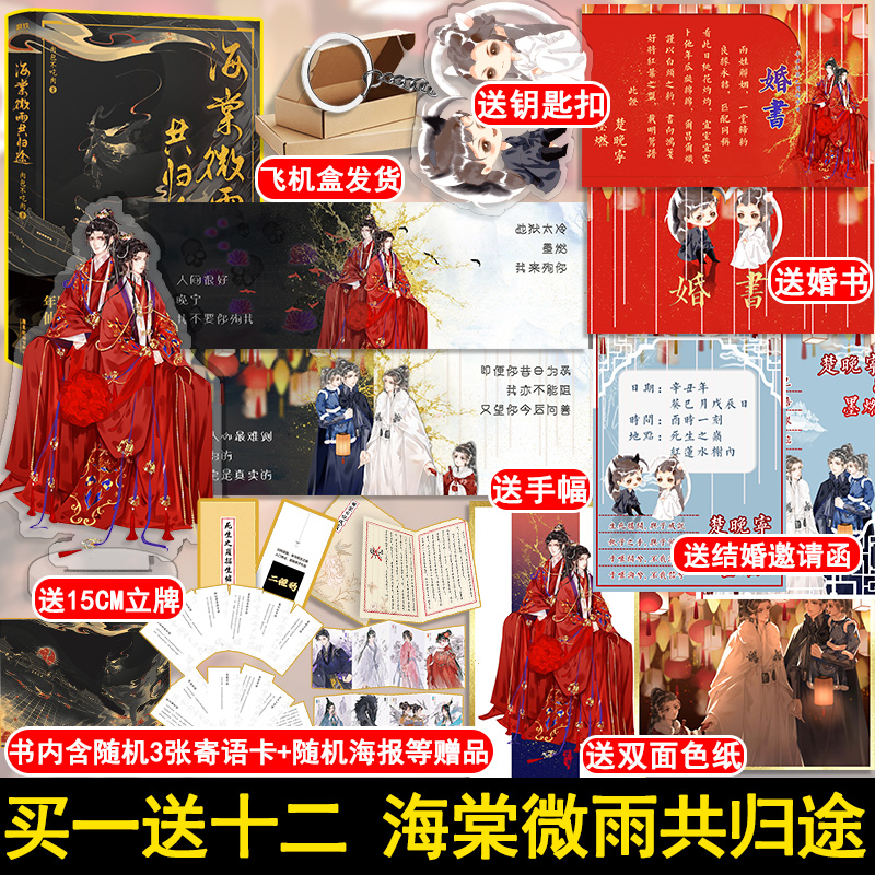 正版包邮海棠微雨归途小说实体书