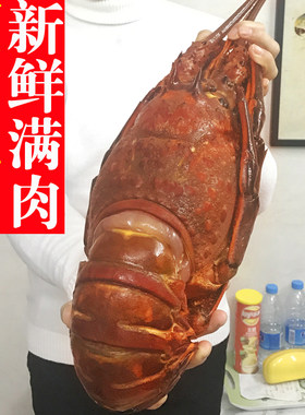 澳洲大龙虾鲜活鲜活冻虾