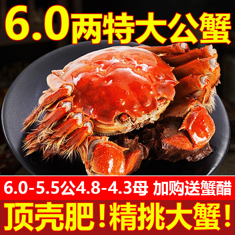 [现货]鲜活特6两大公蟹阳澄大闸蟹苏州特产湖蟹螃蟹年货大蟹礼盒,水产肉类/新鲜蔬果/熟食,大闸蟹,淘宝优惠券,粉丝福利购,淘宝优惠卷