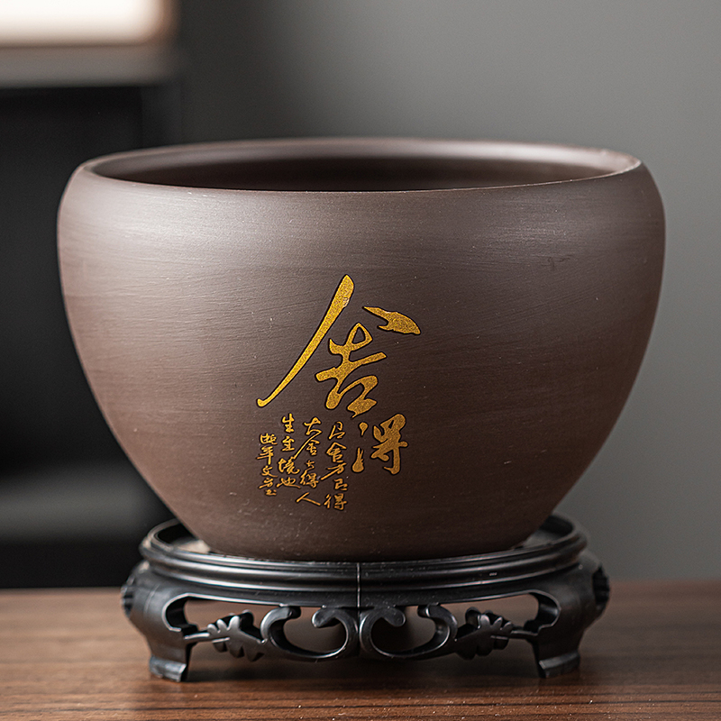 绿萝蕨类绿植苔藓盆景花盆