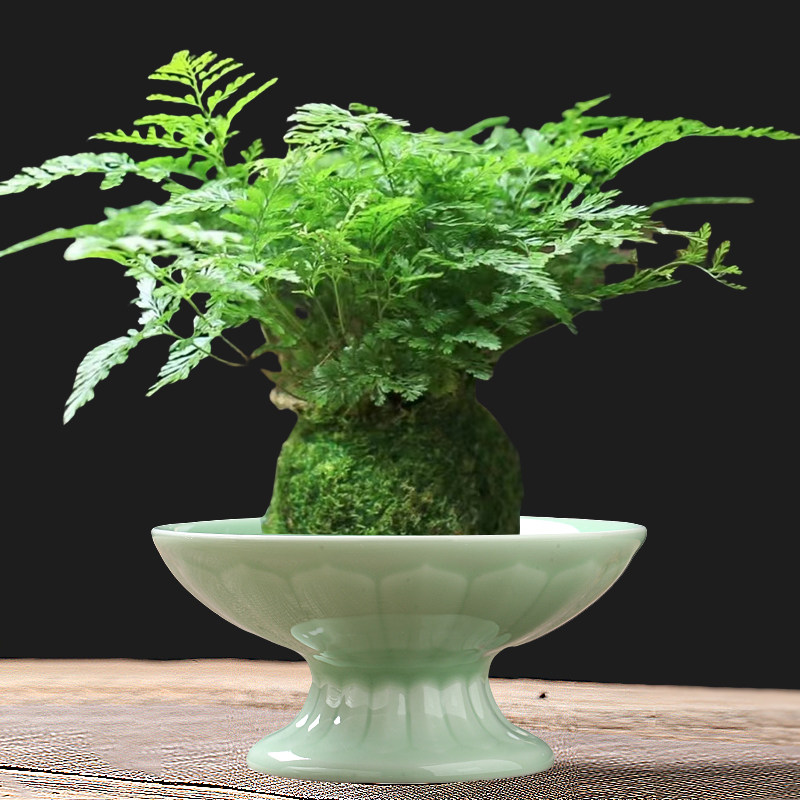 苔藓球托盘花盆陶瓷盆中式亚光桌面摆件水培米竹菖蒲水培干果盆托