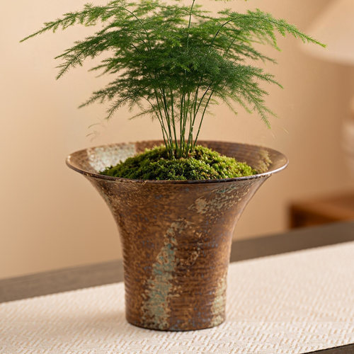 蕨类植物花盆陶瓷盆轻奢家用无孔水培器皿苔藓球托盘花盆摆件A94