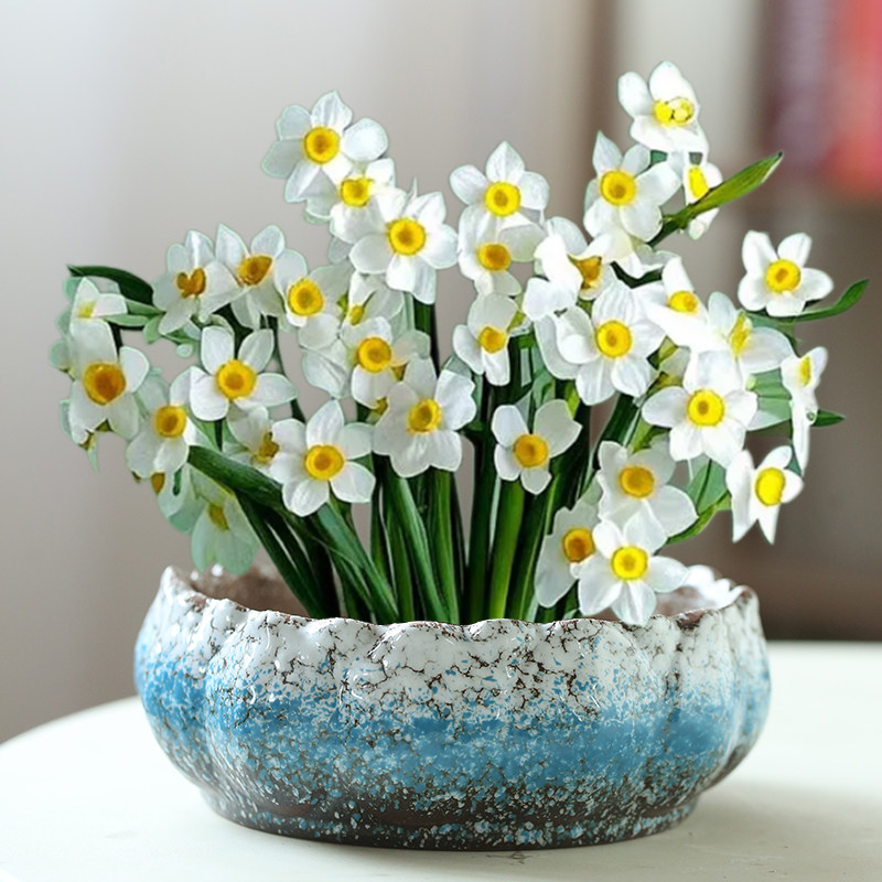 水培陶瓷水仙花盆无孔金钱创意碗莲睡莲个性家用一叶莲铜钱草养鱼,鲜花速递/花卉仿真/绿植园艺,花盆,淘宝优惠券,粉丝福利购,淘宝优惠卷