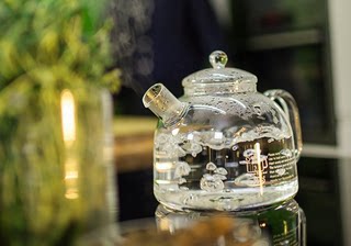 Trendglas德国玻璃烧水壶家用大容量高温耐热泡茶壶煮茶器水果茶