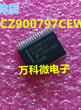 SCZ900797CEW 汽车电脑板芯片 全新现货