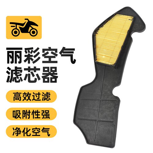 轻骑踏板摩托车 欧2空气滤芯QS100T丽彩QS125T-2空气滤清器过滤器