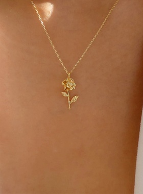 花朵项链跨境新款合金小众感饰品百搭玫瑰花吊坠锁骨链女