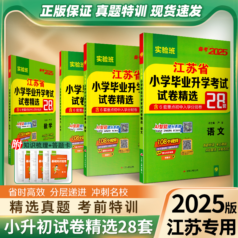 江苏省小学毕业升学考试试卷精选
