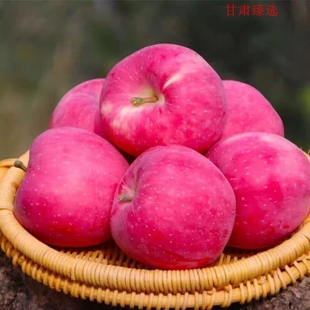 正宗甘肃静宁红富士苹果新鲜脆甜多汁冰糖心应季水果商超品质