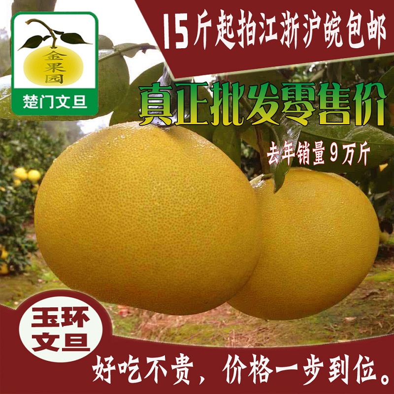 15斤四个玉环文旦包邮沙田柚子
