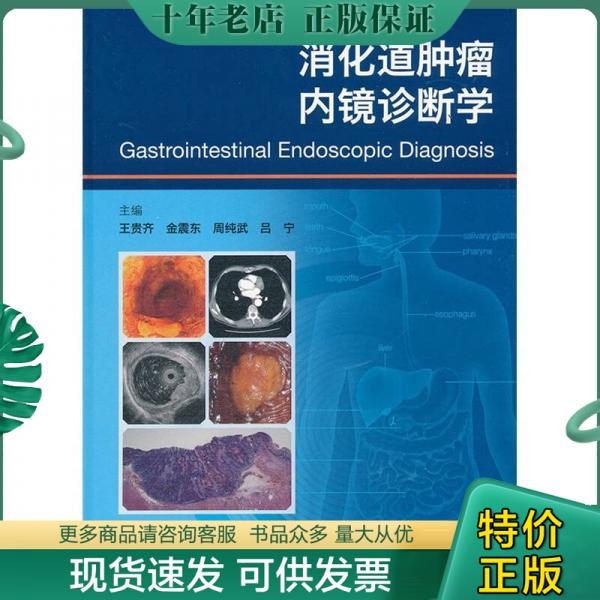 正版包邮消化道肿瘤内镜诊断学 9787117142694王贵齐等主编人民卫生出版社-封面