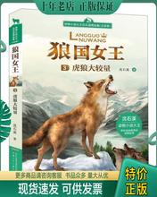 正版包邮9787539791869（注音版）动物小说大王沈石溪精品集：狼国女王*3虎狼大较量