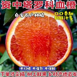 正宗四川资中塔罗科血橙现摘新鲜水果玫瑰橙超甜手剥红肉橙子包邮