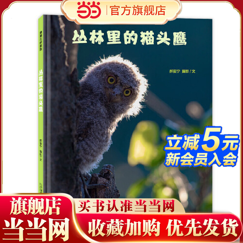 丛林里的猫头鹰 带你走进用*眼看不到的鸟类世界