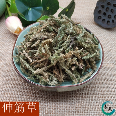 中药材伸筋草包邮 舒筋草 大伸筋草500克