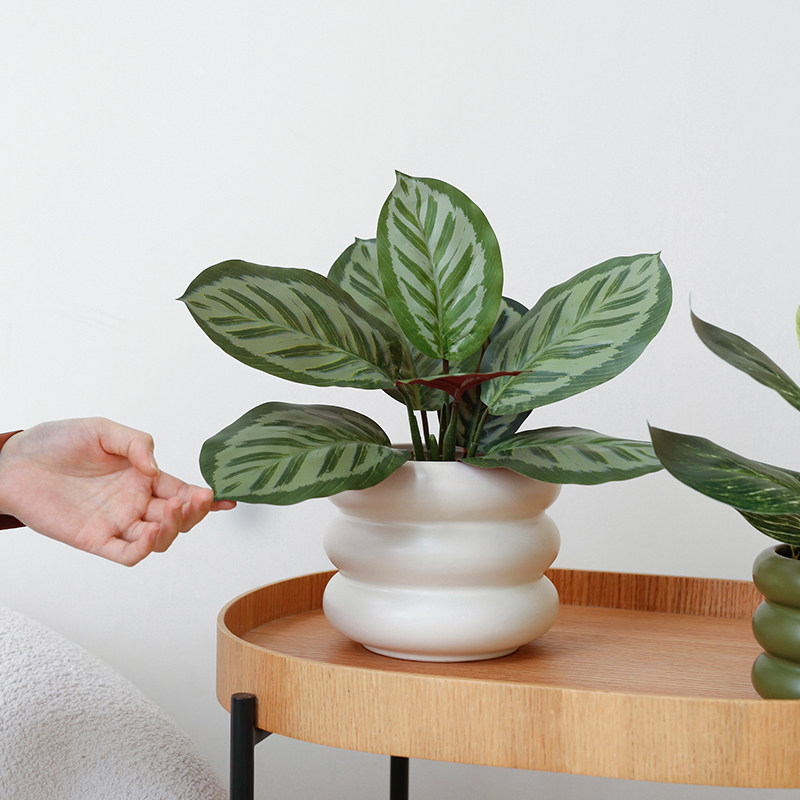 ladylike北欧仿真绿植苹果叶室内客厅植物盆栽万年青盆景装饰摆件