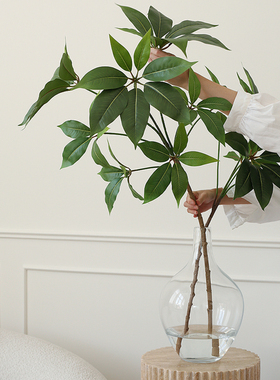 ladylike 日本大叶伞仿真绿植花瓶摆件ins客厅插花假植物装饰摆设
