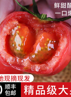 【顺丰包邮】陕西泾阳普罗旺斯水果西红柿生吃沙瓤番茄洋柿子