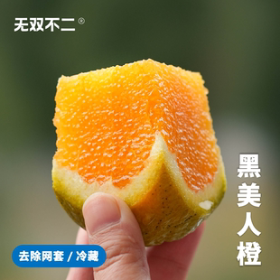 明年约!无双不二黑美人橙湖北秭归巧克力宗橙伦晚橙子脐橙新鲜