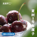 無(wú)雙不二夏樹一號(hào)甘肅天水大櫻桃國(guó)產(chǎn)車?yán)遄有迈r水果整箱 下波約