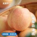 无双不二羊脂白油桃新鲜水果山东临沂蒙阴蜜玉白桃软桃 下波约