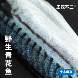 无双不二深海挪威进口青花鱼新鲜鲭鱼烤鱼冷冻鱼片免洗优质海鱼肉