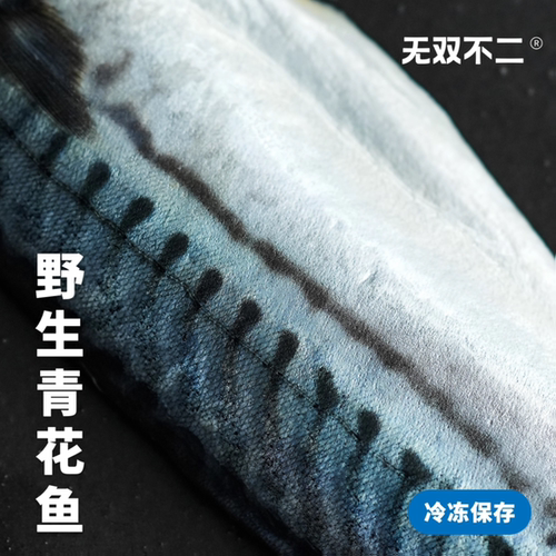 无双不二真正的挪威青花鱼来了