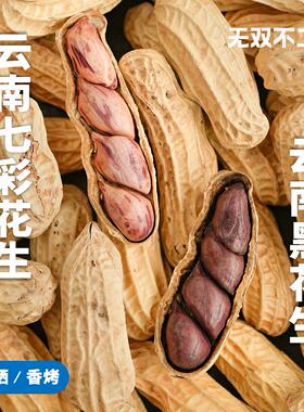 2.24排发！无双不二云南七彩花生黑花生富硒带壳黑花生普洱特产