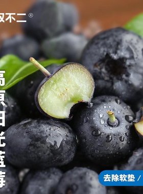 一周排！无双不二高原阳光蓝莓新鲜水果L25云南蓝莓现摘现发孕妇