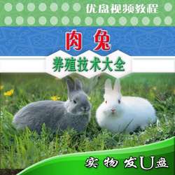 肉兔养殖技术U盘视频教程黄兔公羊兔塞北兔九疑山兔饲养散养圈养