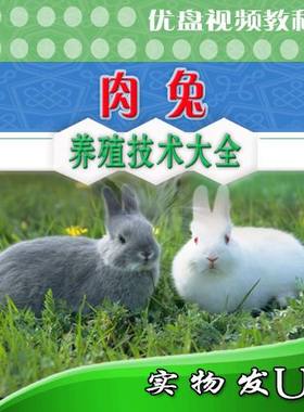 肉兔养殖技术U盘视频教程黄兔公羊兔塞北兔九疑山兔饲养散养圈养