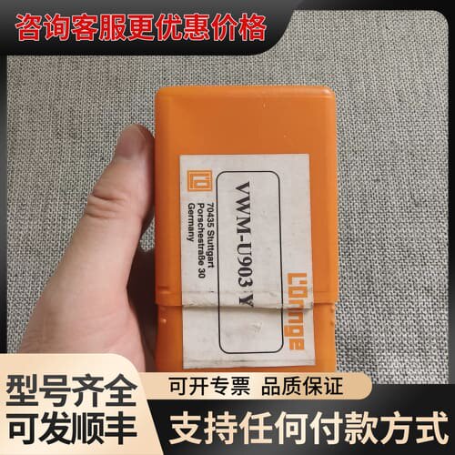 议价 L Orange 柱塞偶件 ， VWM-U903 Y , M 可维修