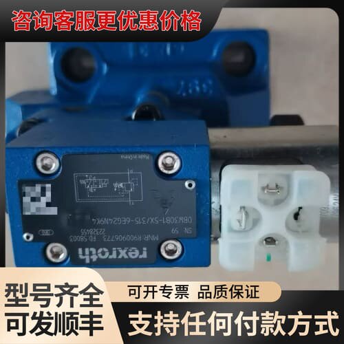 议价DBW30B1-5X/315-6EG24N9K4 力士乐溢流可维修