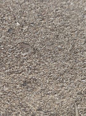 野生沉香品香料金三角野生熏香原材料沉香香篆粉电炉熏香5克YC52