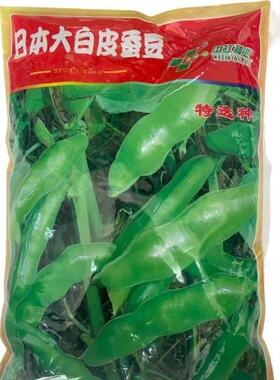 日本大白皮蚕豆大种子板豆种籽大粒高胡产春口感绵软香FOZ糯耐寒