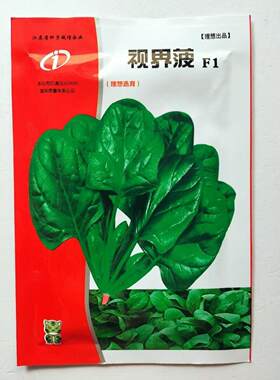 理想视界菠种子30克