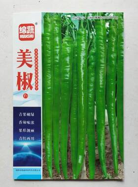 绵蔬美辣线椒种子F1早熟青椒深绿色味辣高产顺直大田