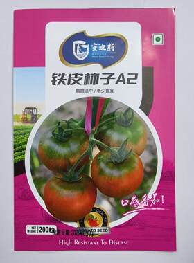 铁皮柿子A2种子口感番茄种籽北方西红柿酸甜好吃无限生长蔬菜种籽