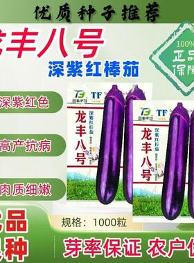 蔬菜瓜果四季茄子种子大全紫红长茄种籽龙丰八号深紫红棒茄种高产