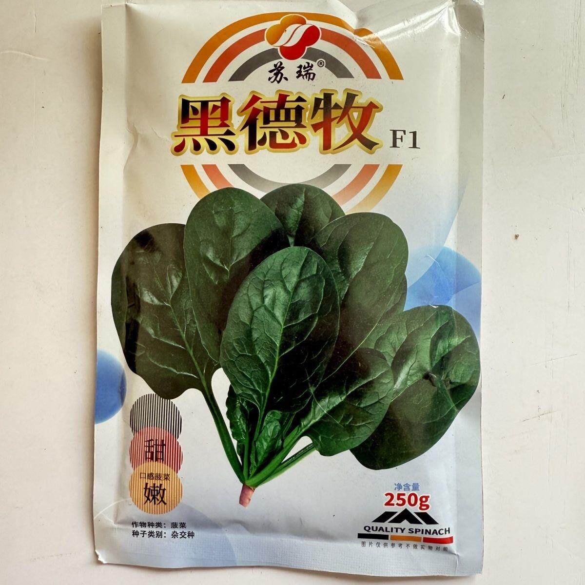 苏瑞黑德牧菠菜种子250克