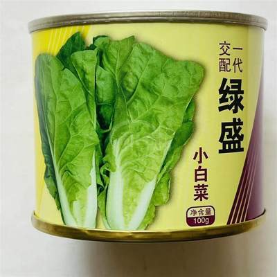 天丰绿盛快菜种子蔬菜杂交四季速生小白菜种籽耐热抗病无毛蔬菜籽