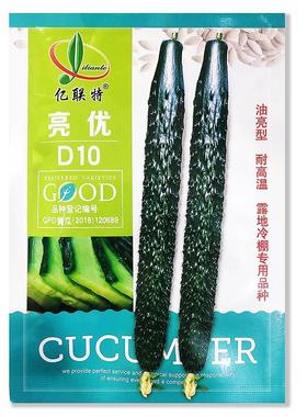 亮优D10 油亮型黄瓜种子耐高产棚量高抗病强露地VPJ温冷大田专种