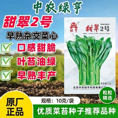 北京中农绿亨甜翠2号早熟菜心种子甜脆无渣广东四九菜心菜苔菜芯