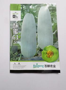 百耕酥蜜61甜瓜种子杂交一代薄皮甜瓜新品种果肉绿色酥脆多汁抗逆