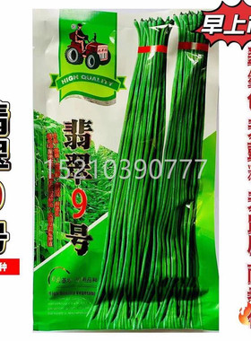 翡翠9长豆角种子 早青熟高产号PBH耐寒耐热翠绿长特豆角豇豆种子