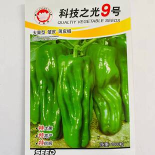 科技之光9号辣椒种籽高产耐热春秋播耐低温大果薄皮大椒蔬菜种子
