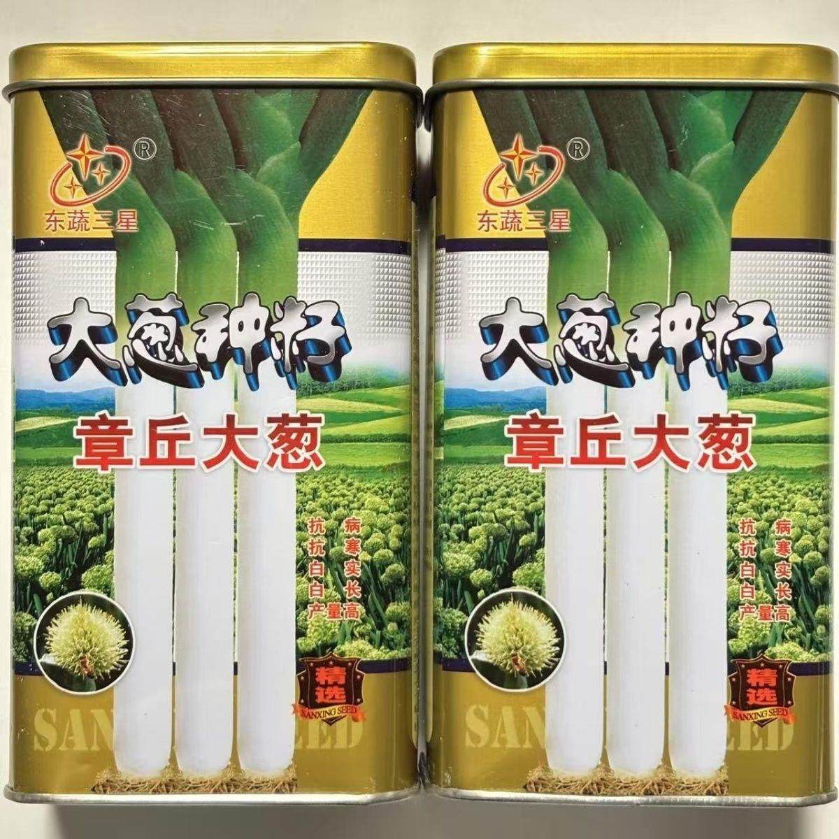 东蔬章丘大葱种子高产抗病抗倒伏耐寒庭院大田春秋播大葱种子