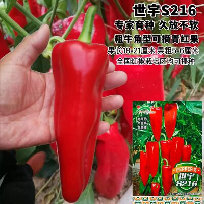 世宇S216辣椒种子粗牛角椒种籽可摘青红果红椒中早熟果皮光滑肉厚