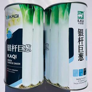 银杆巨葱大葱种子葱白长春秋播种香葱种籽耐寒耐热耐旱耐贮藏蔬菜