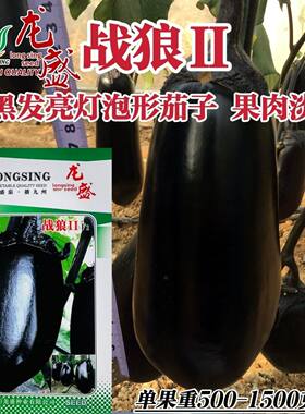 龙盛战狼2号灯泡茄种子油黑亮丽牛心茄种子绿肉特大号黑茄子种籽
